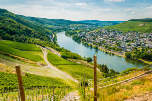 Landshut Castle near Bernkastel-Kues, view of Kues, one of the most beautiful Moselle castles, Moselle loop also worth seeing, Landshut Castle near Bernkastel-Kues, view of Kues, one of the most beautiful Moselle castles, Moselle loop also worth seeing,